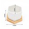 6 Natural White 3" Mini Ceramic Flower Pots Hexagon Geometric Planters Party